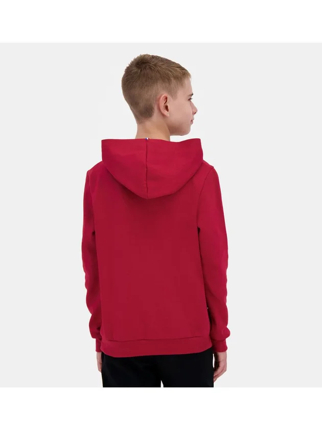 Ess Hoody N3