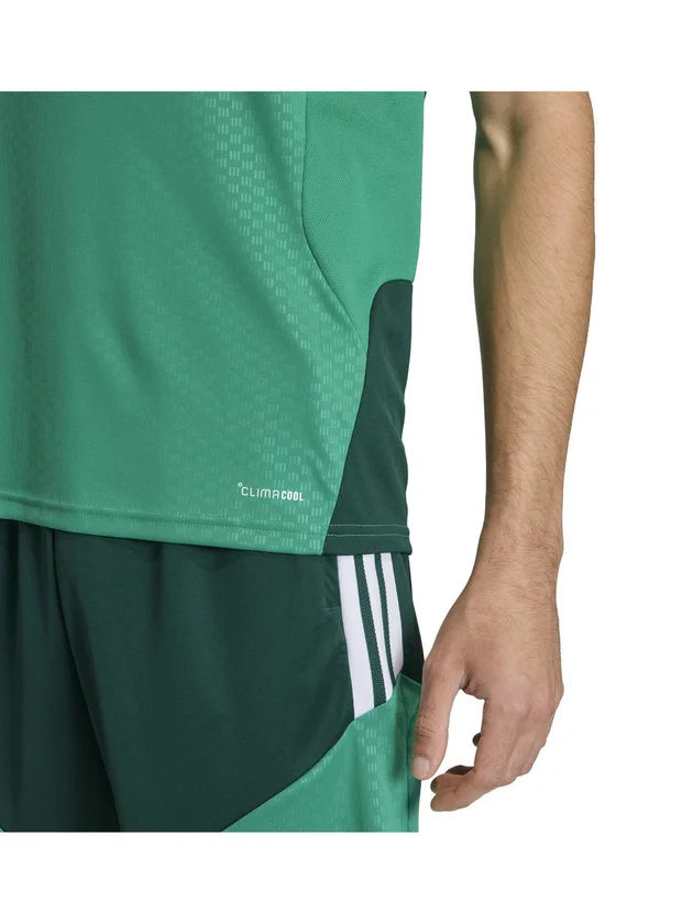 Algérie Training