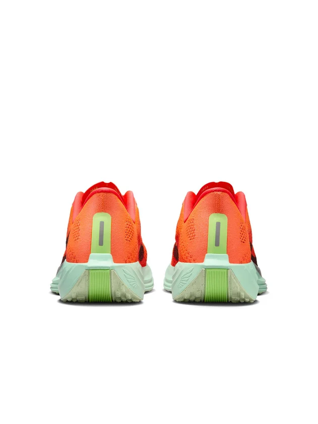 Pegasus Plus
