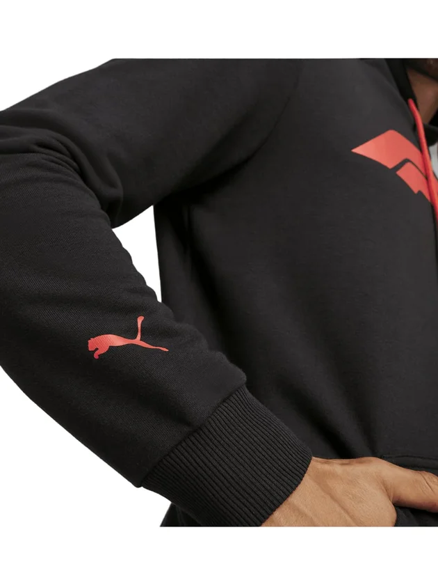 F1 Ess Logo Hoodie