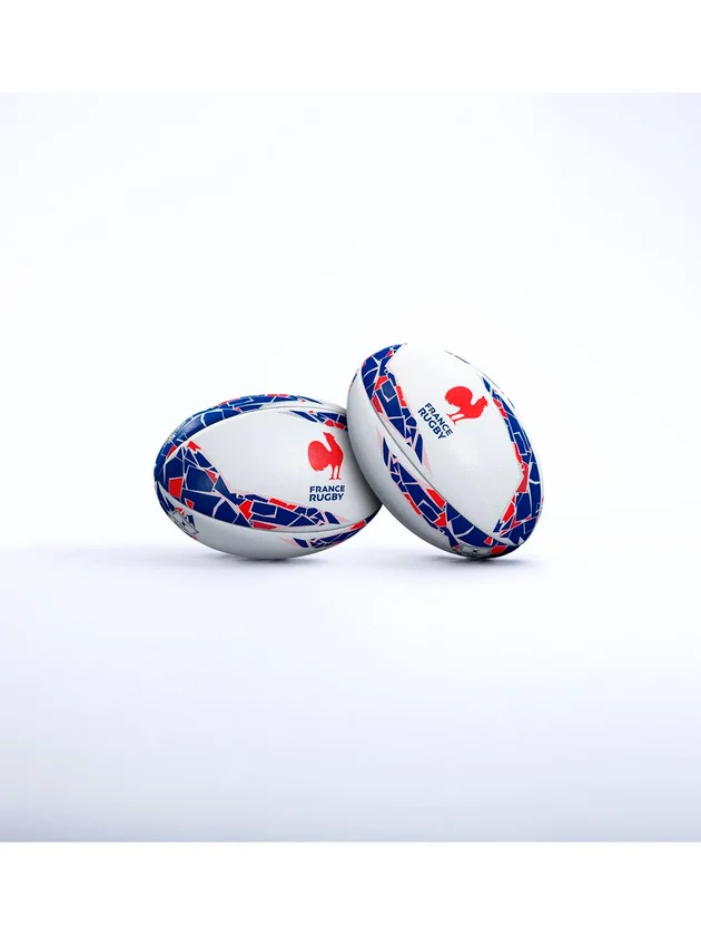 Supporter France