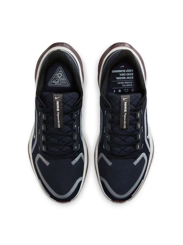 Air Zm Pegasus 41 GTX