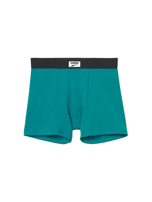Logo Patch Boxer 2P