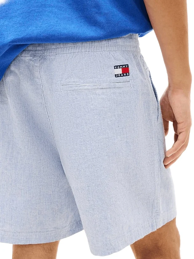 Linen Blend Stripe Short