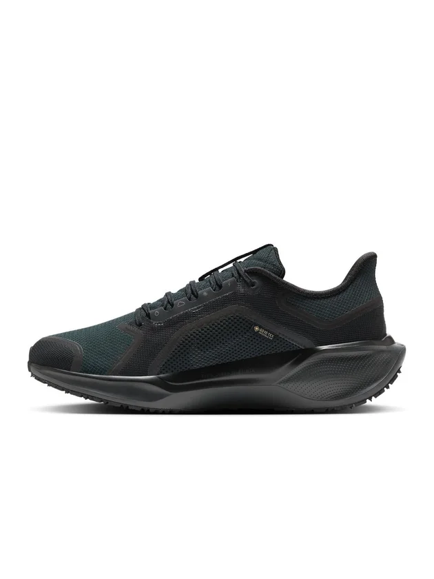 Air Zm Pegasus 41 GTX