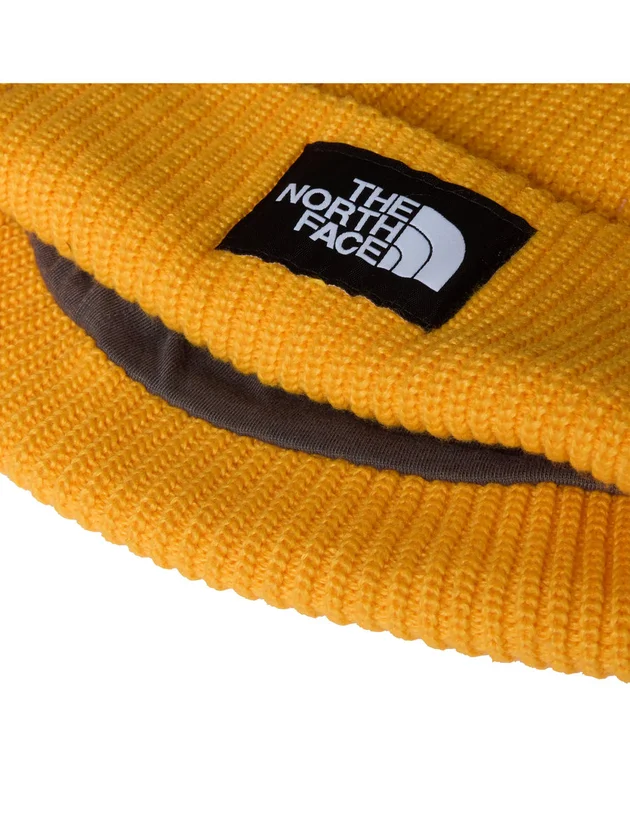 Salty Lined Beanie