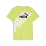 LIME SHEEN