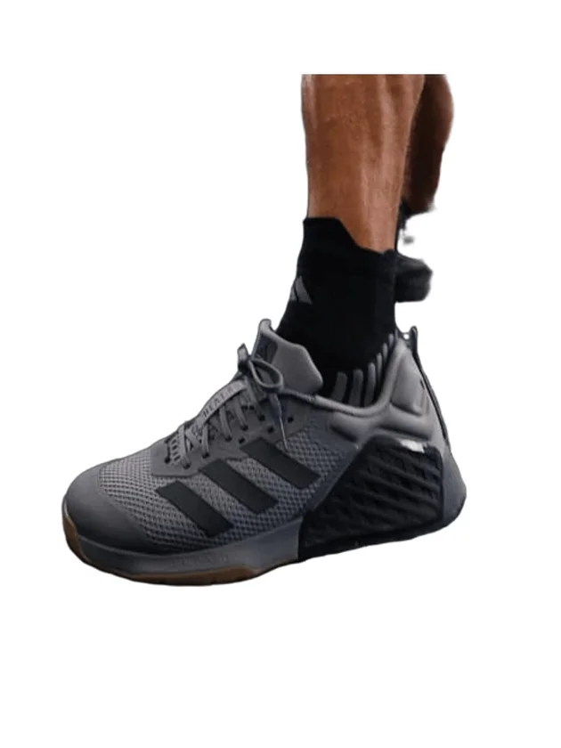 Dropset 3 Trainer