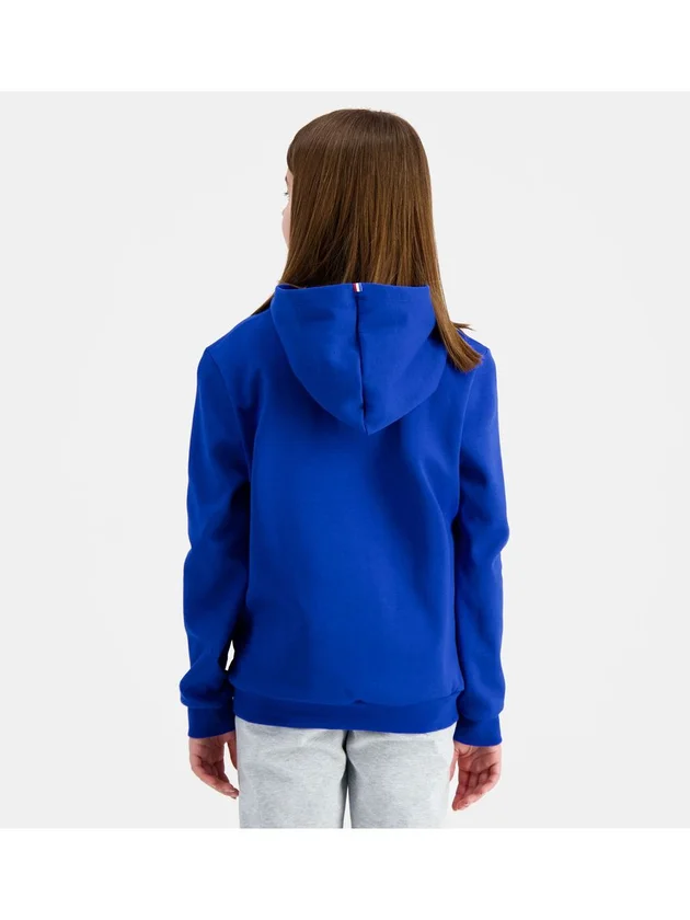 Ess Hoody N3