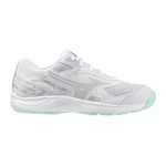 WHITE/BLUE TINT
