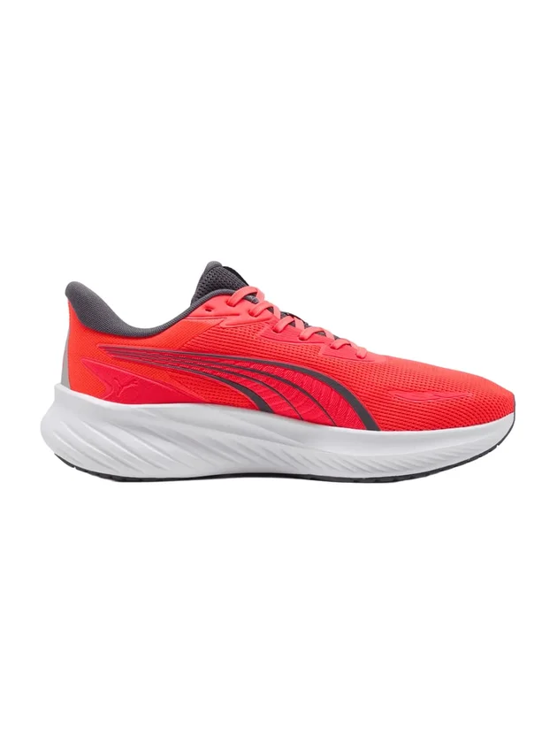 Pounce Lite 2
