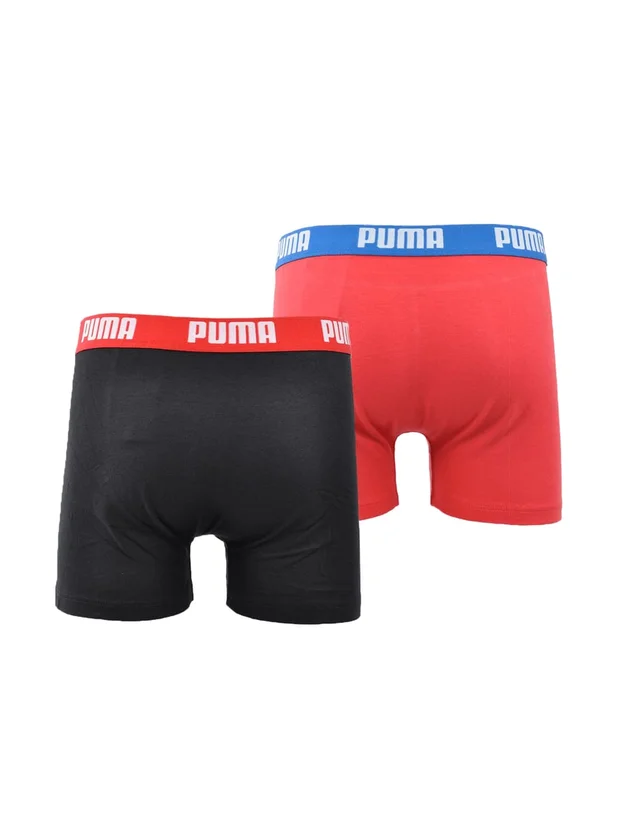 Basic Boxer 2P