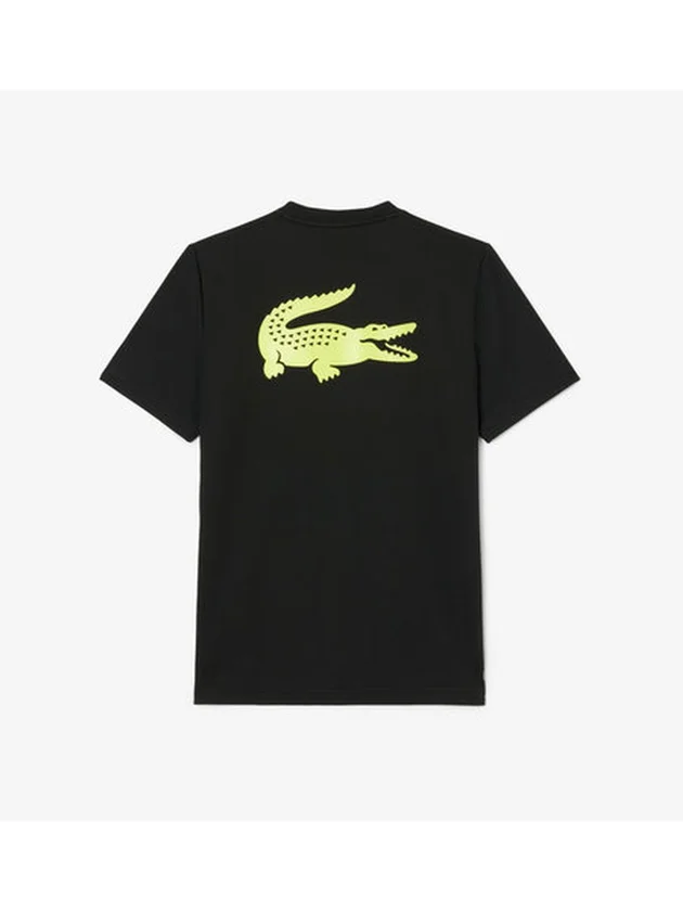 Technical Capsule