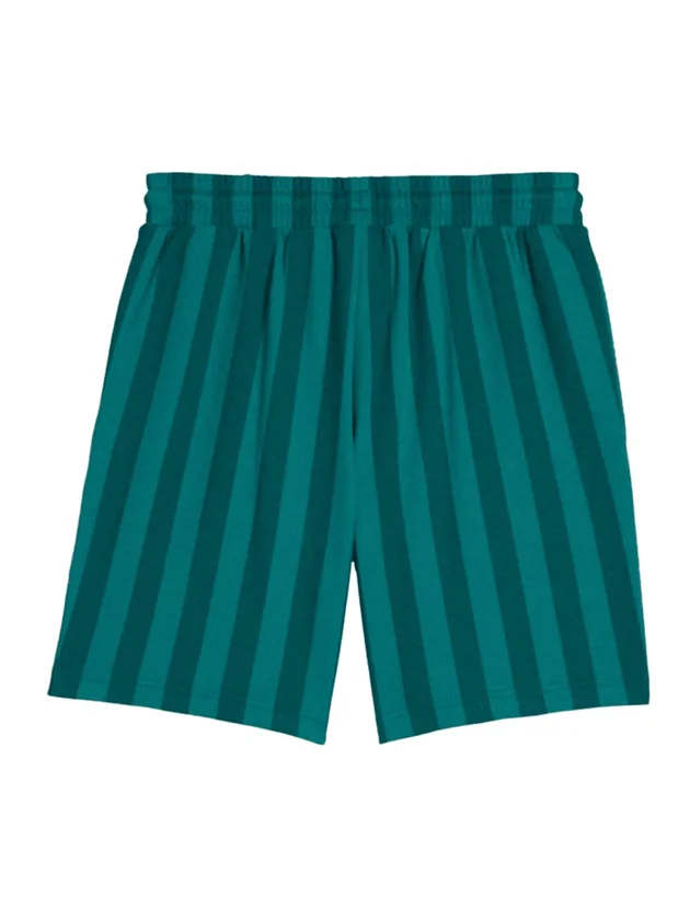Class 8 Shorts