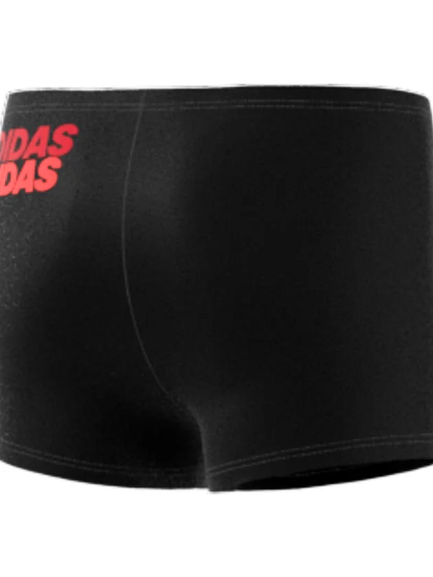 Lin Brief