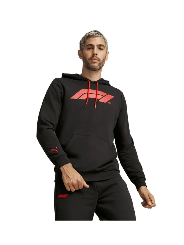 F1 Ess Logo Hoodie