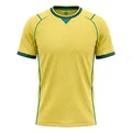 Sélection Football Brésil