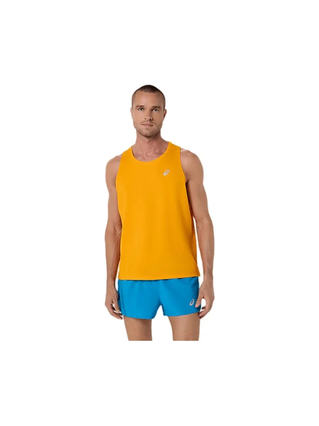 Core Singlet