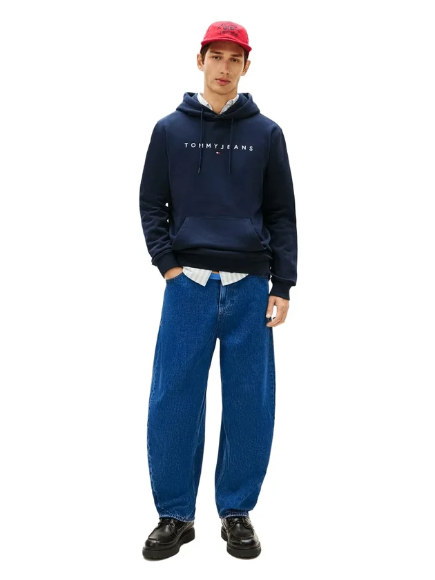 Reg Linear Logo Hoodie Ext