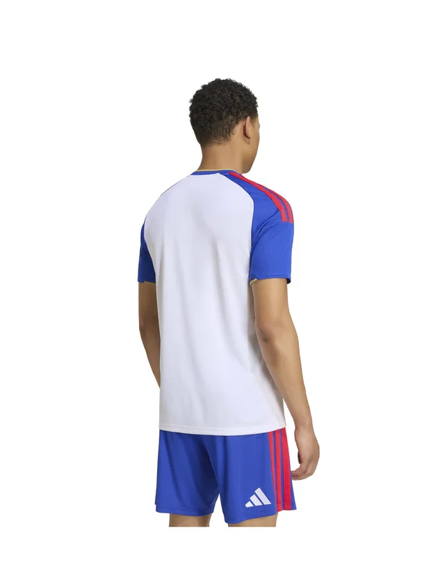 OL Domicile 2026/2027
