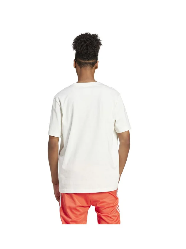 Fi Bos Reg T