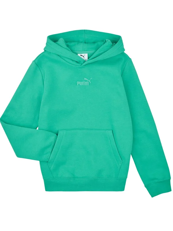 Ess Small No1 Logo Centered Hoodie Fl B