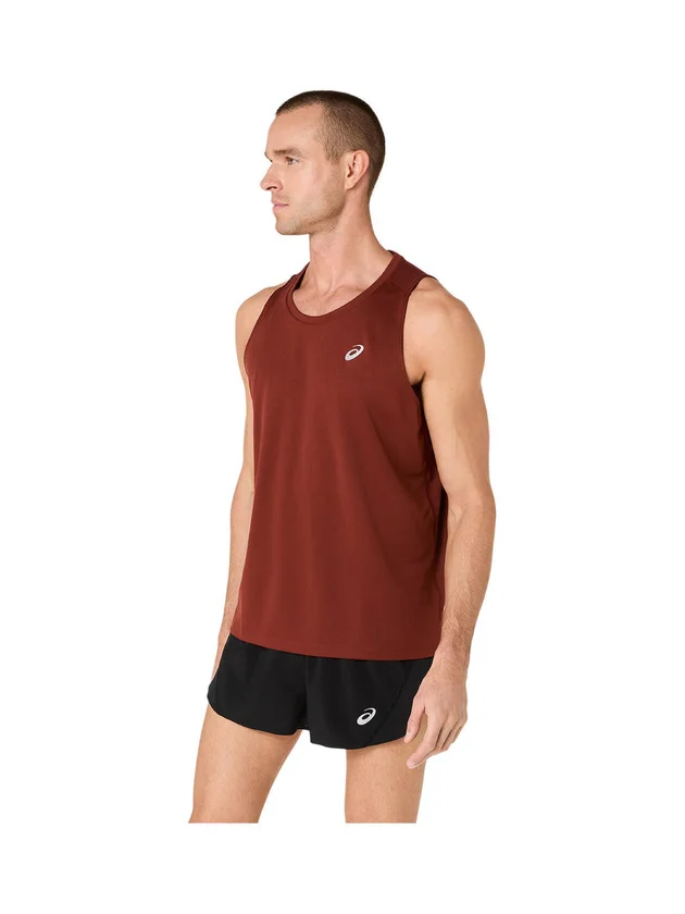 Core Singlet