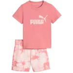 WILD PINK