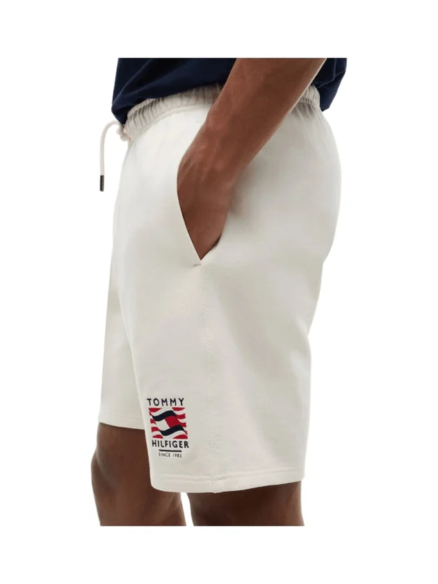Box Flag TR Swea