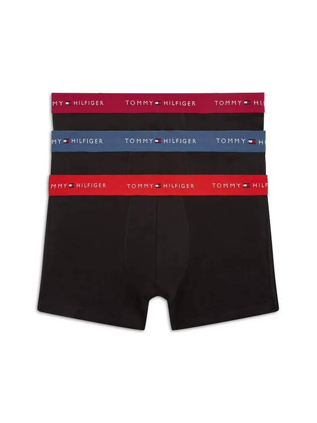 3P Trunk WB