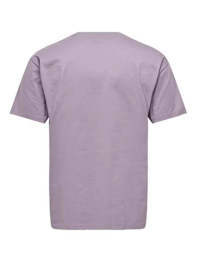 Onsfred Life Rlx Ss Tee Noos