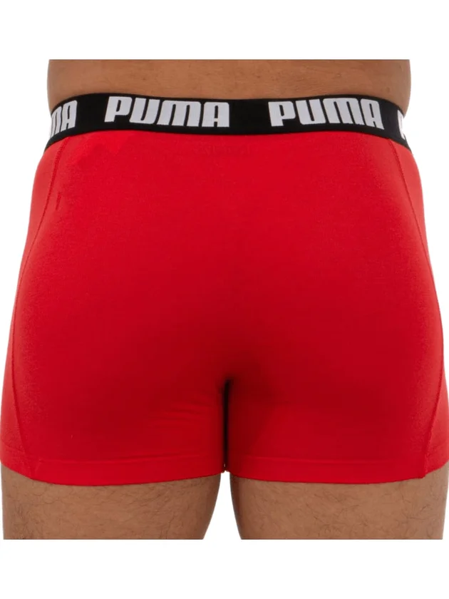 Basic Boxer 2P