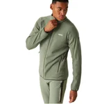 AGAVE GREEN