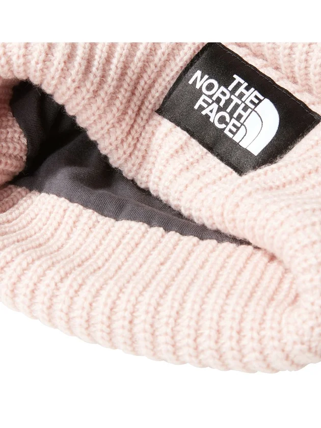 Salty Lined Beanie