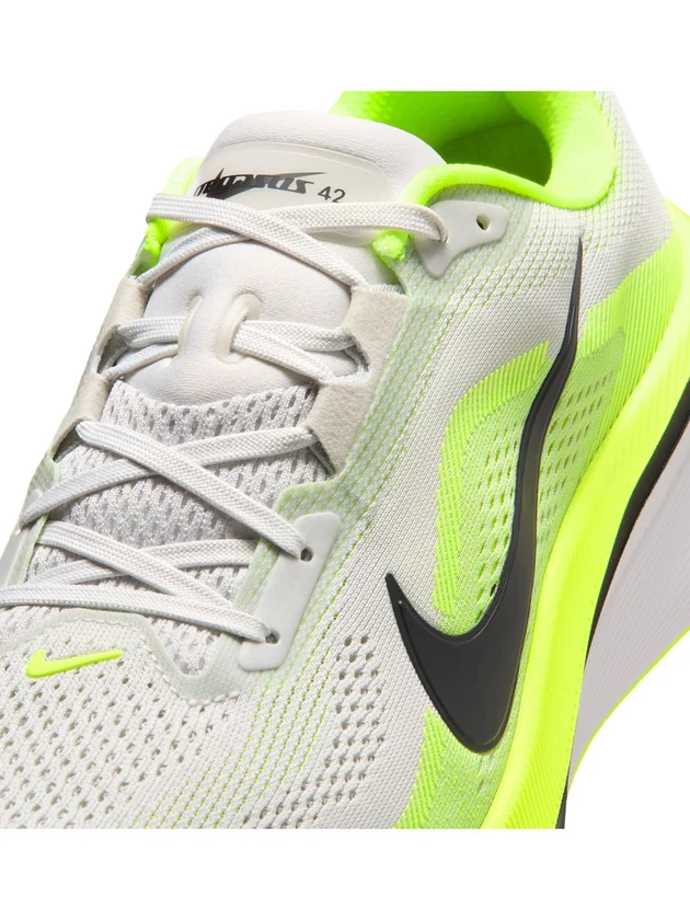 Air Zoom Pegasus 42
