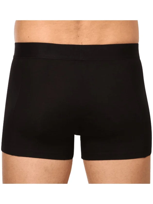 Placed Logo Boxer 2P