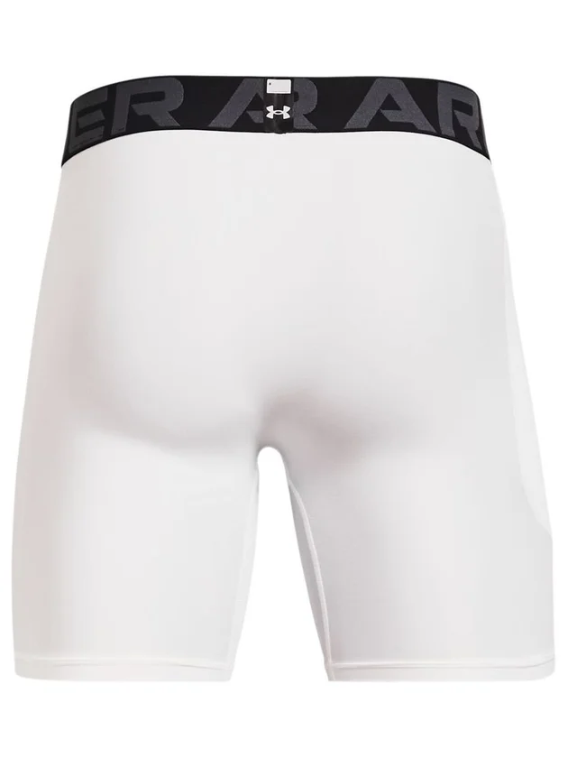 Hg Armour Shorts