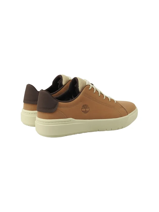 Low Lace Sneaker