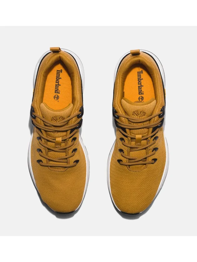 Low Lace Up Sneaker