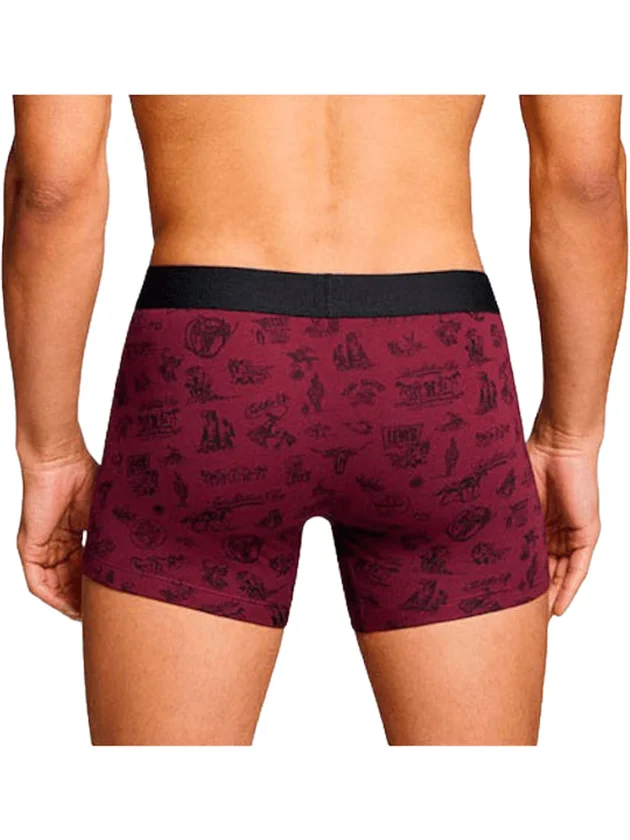 Wstrn Icon Aop Boxer Brief 2P