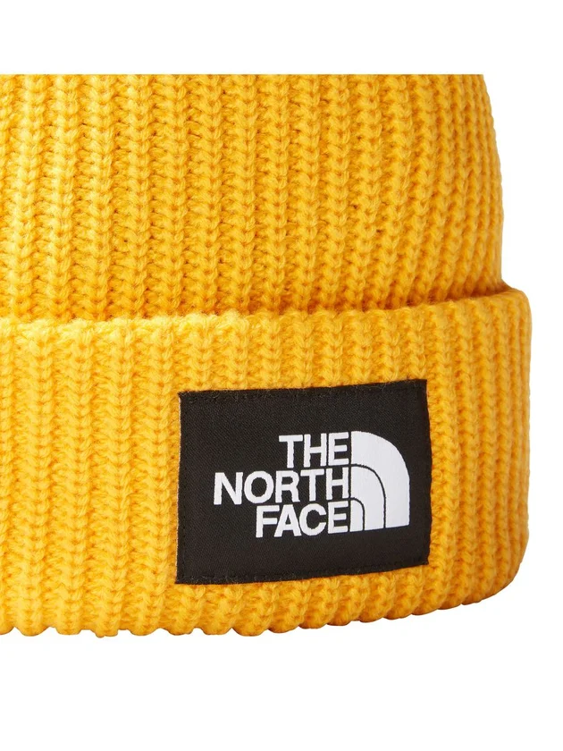 Salty Lined Beanie