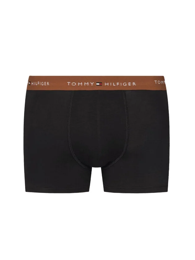3P WB Trunk