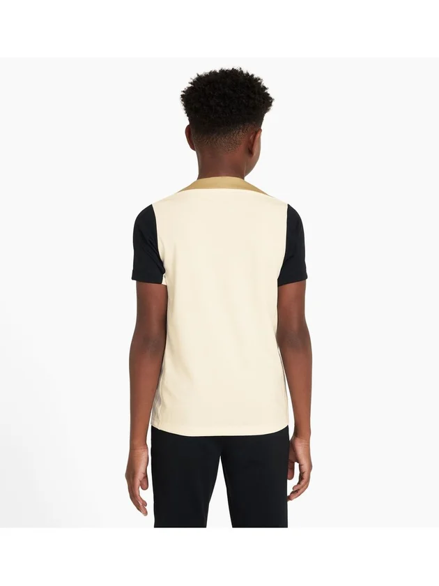 Dri-FIT Strike 24 Ss Top