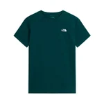 PACIFIC TEAL