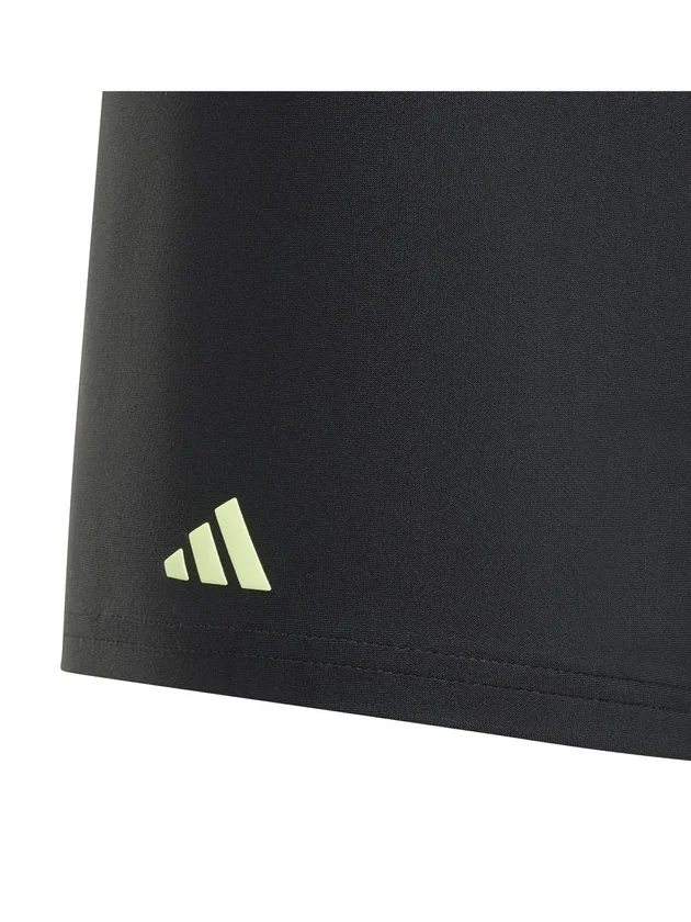 Logo Swim Bxr
