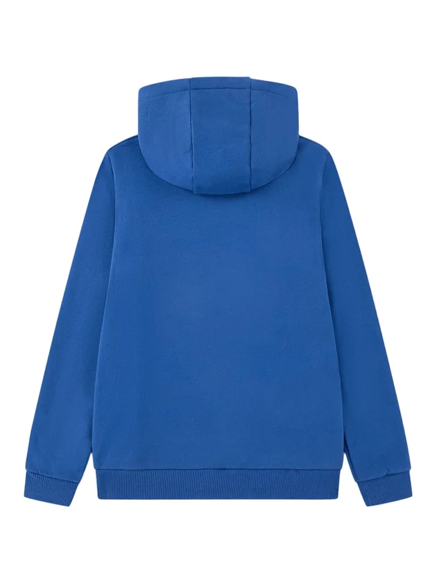 Core Fleece Pullover Hoodi
