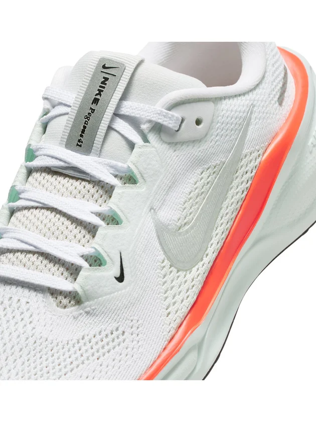 Air Zoom Pegasus 41