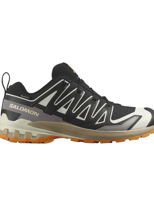 Xa Pro 3D V9 Gore-Tex
