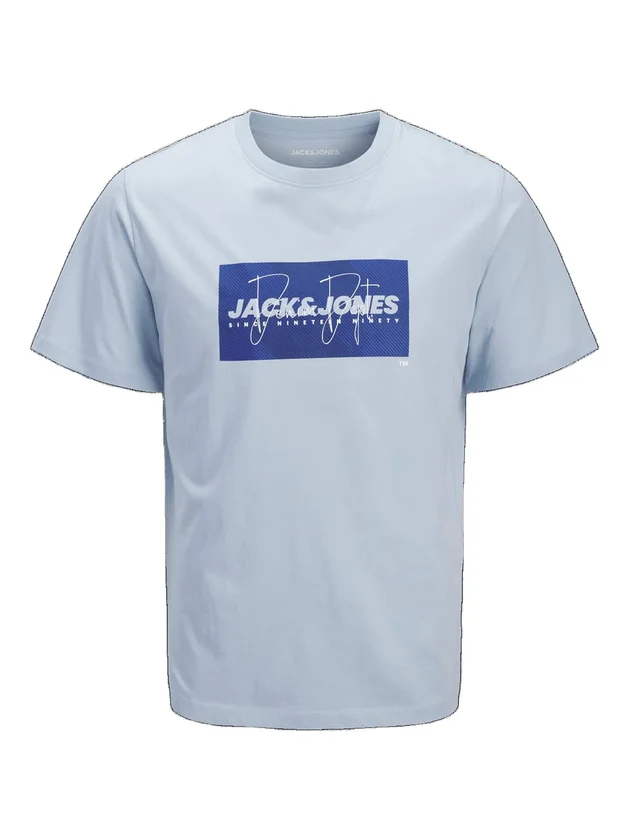 Jjcole Print Tee Ss Crew Neck Ln