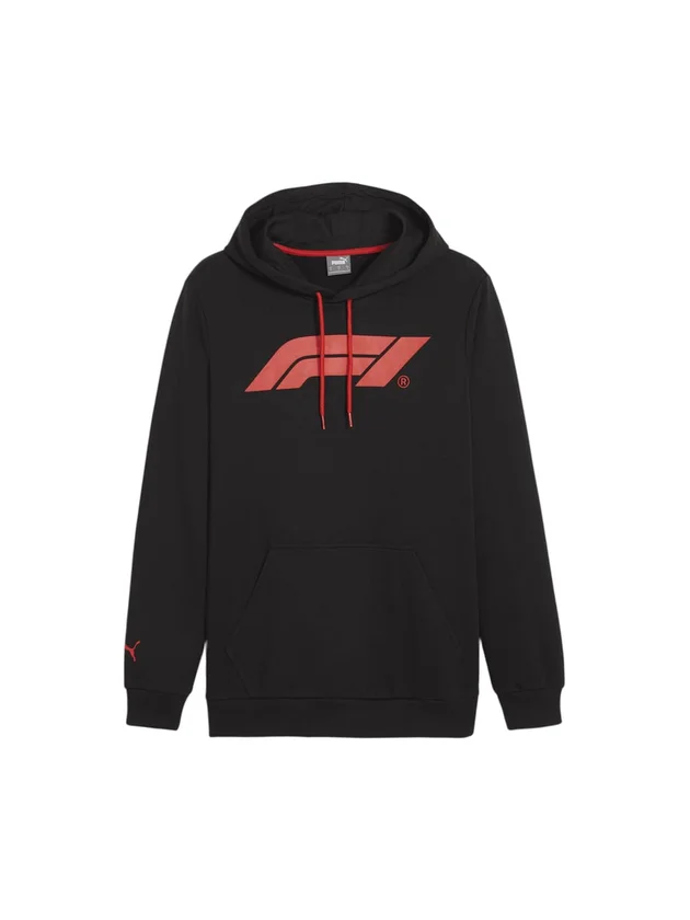 F1 Ess Logo Hoodie